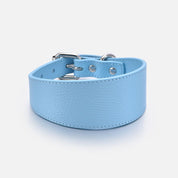 Baby Blue Hundehalsband Breit