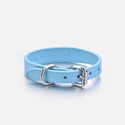 Baby Blue Hundehalsband Dünn
