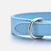 Baby Blue Hundehalsband Dünn