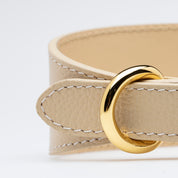 Beiges Hundehalsband Breit