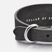 Schwarzes Denim Hundehalsband Breit