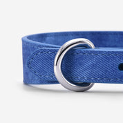 Blauer Jeanshundehalsband Dünn
