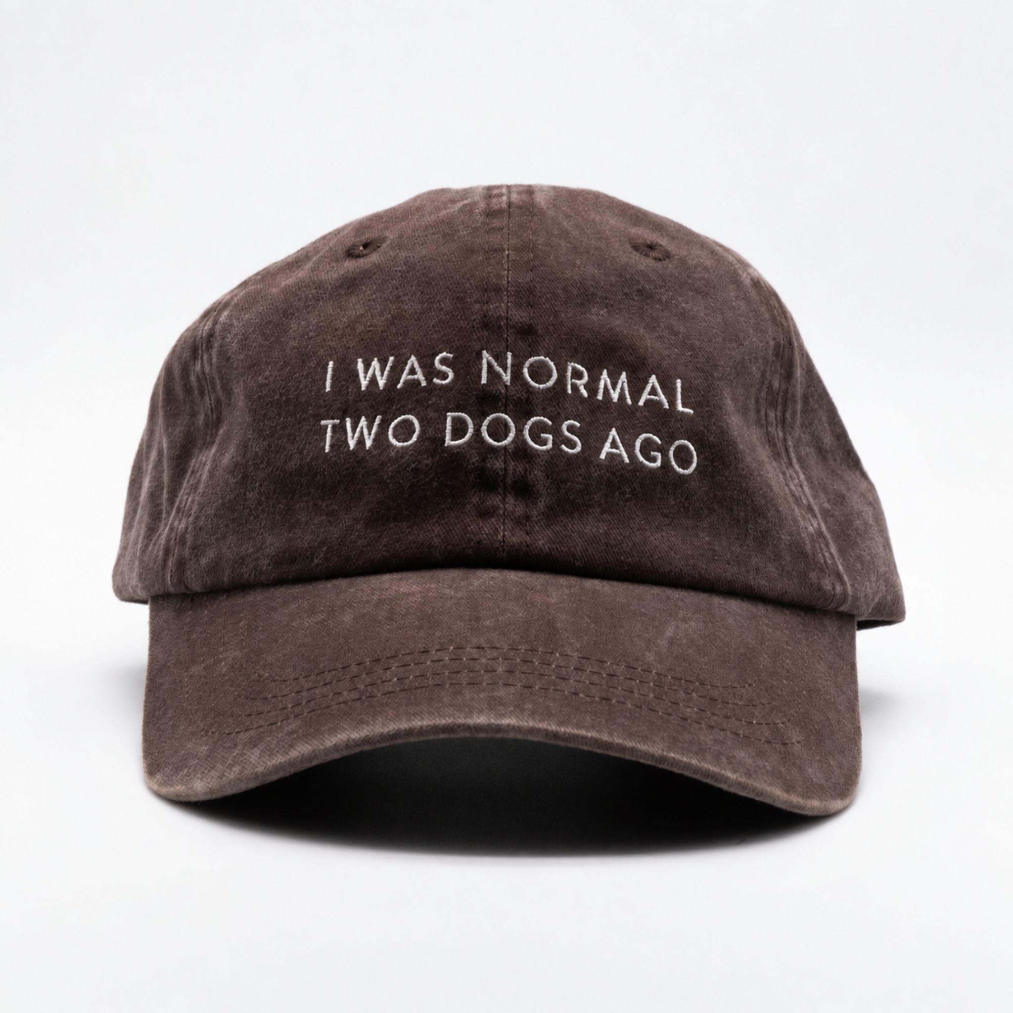brown-denim-cap-i-was-normal-two-dogs-ago-front.jpg