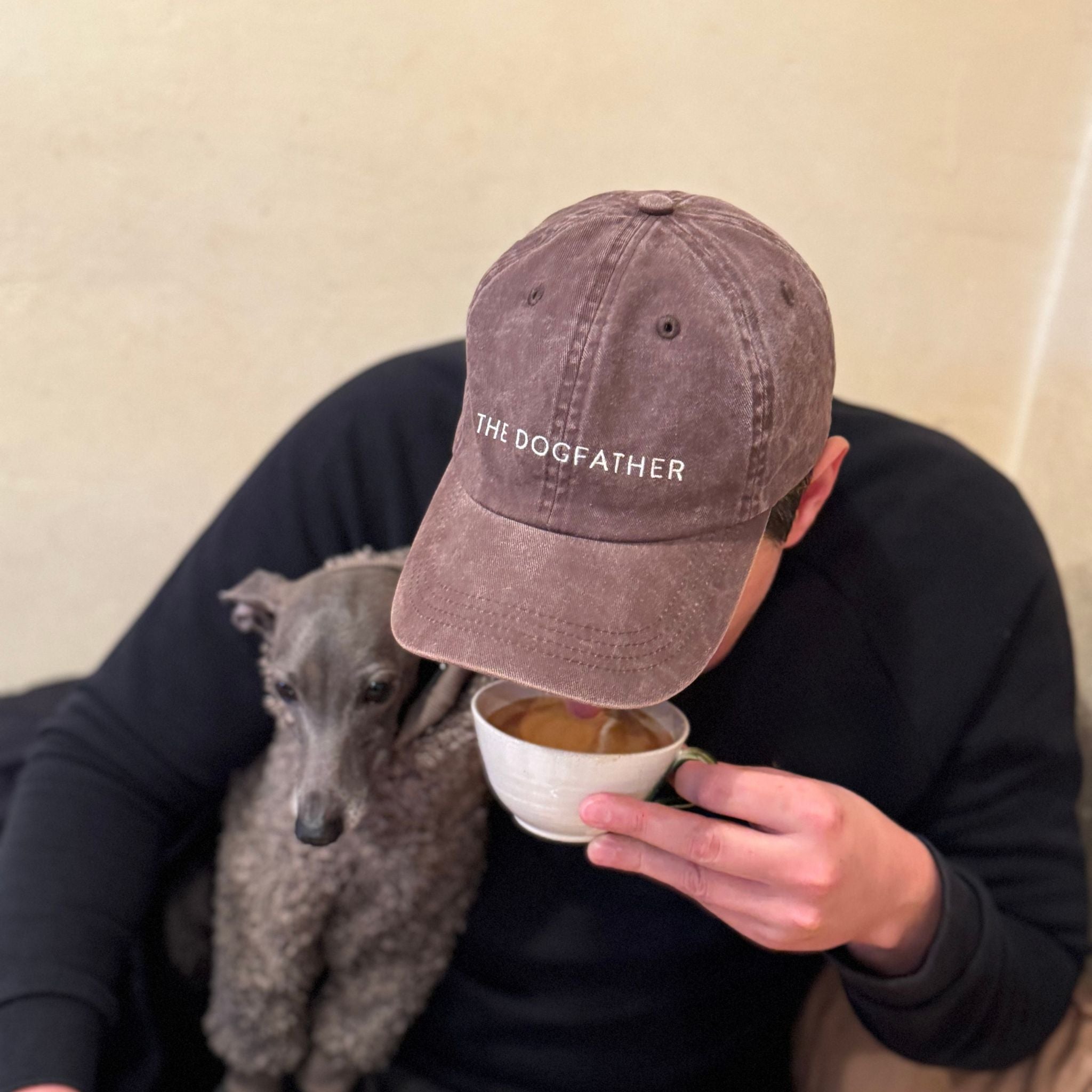 brown-denim-cap-the-dogfather-cafe-italian-greyhound.jpg