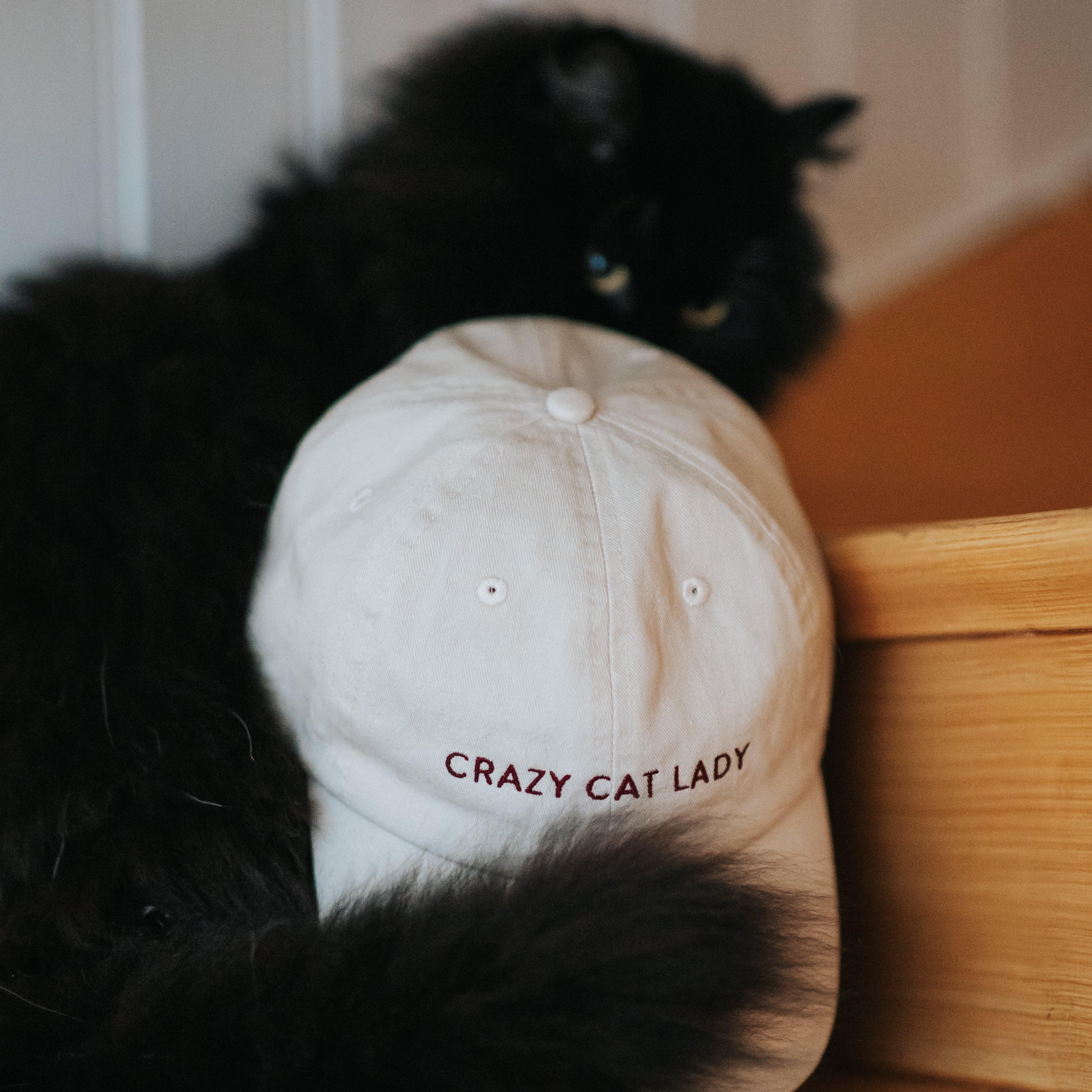 cat-caps-category-image.jpg