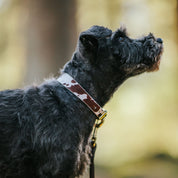 Kuh Hundehalsband dünn