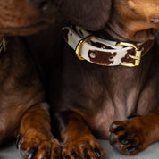 Kuh Hundehalsband dünn