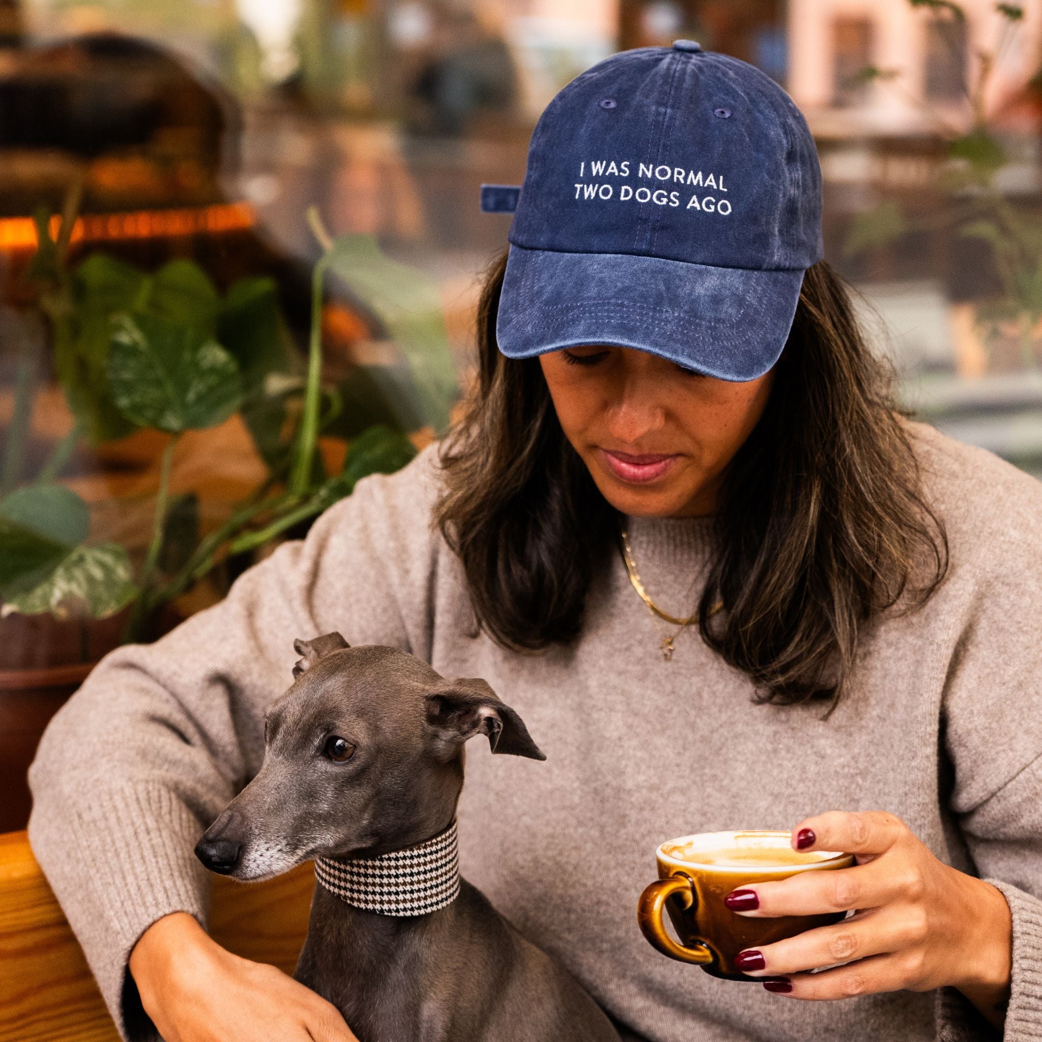dark-blue-denim-cap-i-was-normal-two-dogs-ago-coffee.jpg