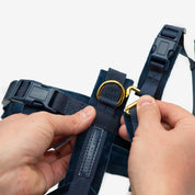 Dunkelblaues Y-Gurtzeug XS