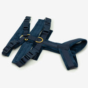 Dunkelblaues Y-Gurtzeug XS