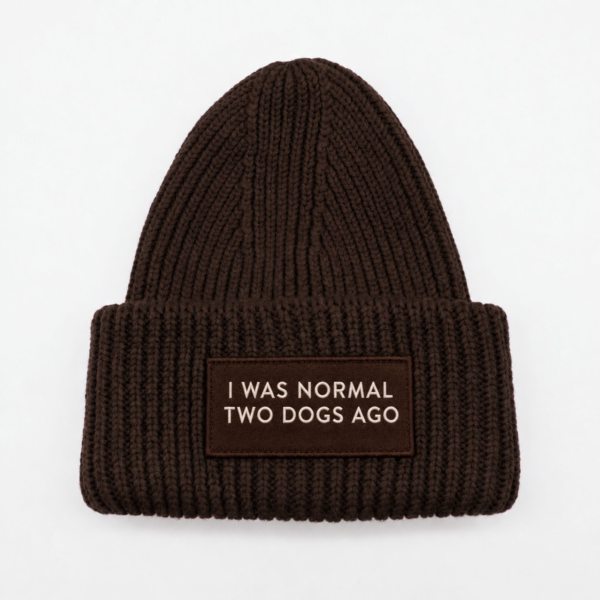 dark-brown-beanie-i-was-normal-two-dogs-ago-front-text.jpg