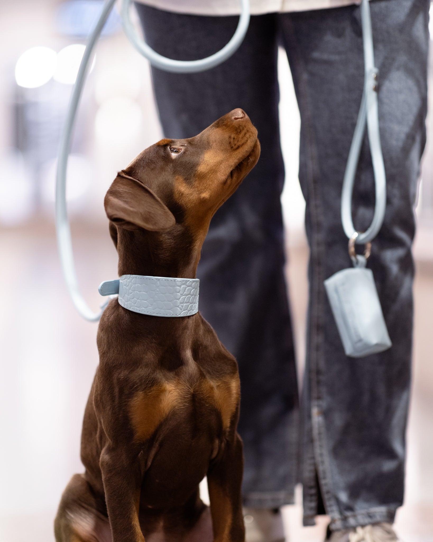 Baby Blue Kotbeutelhalter