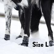 Hundesocken - 4er Pack