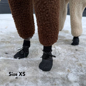 Hundesocken - 4er Pack