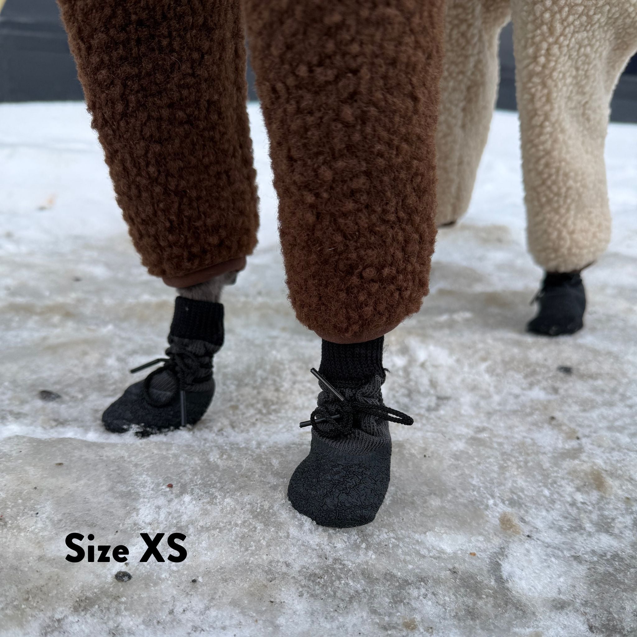 Hundesocken - 4er Pack