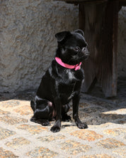 Glossy Pink Hundehalsband Dünn