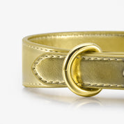 Gold Metallic Hundehalsband Dünn