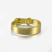 Gold Metallic Hundehalsband Dünn