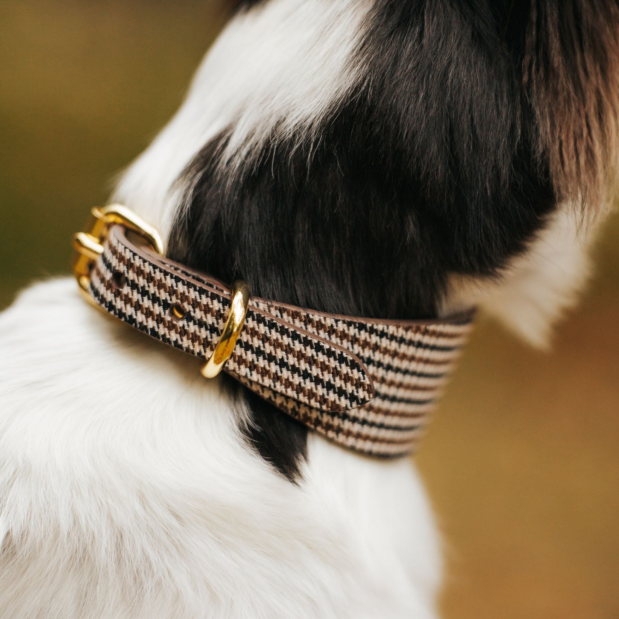 Beiges Hahnentrittmuster Hundehalsband Breit