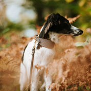 Beiges Hahnentrittmuster Hundehalsband Breit