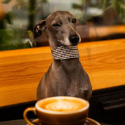 Beiges Hahnentrittmuster Hundehalsband Breit