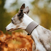 Beiges Hahnentrittmuster Hundehalsband Breit