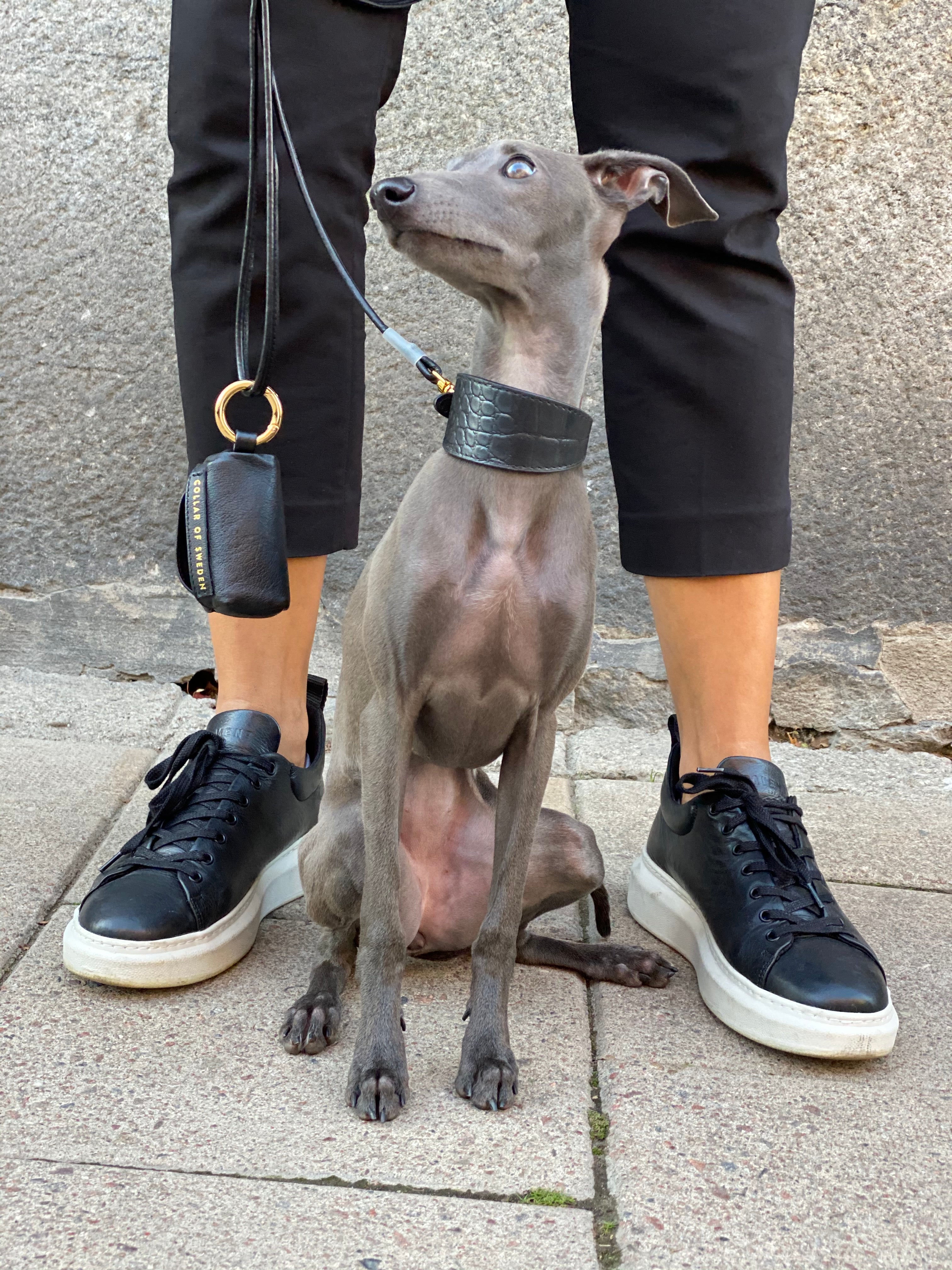 Schwarzes Krokodil-Hundehalsband breit