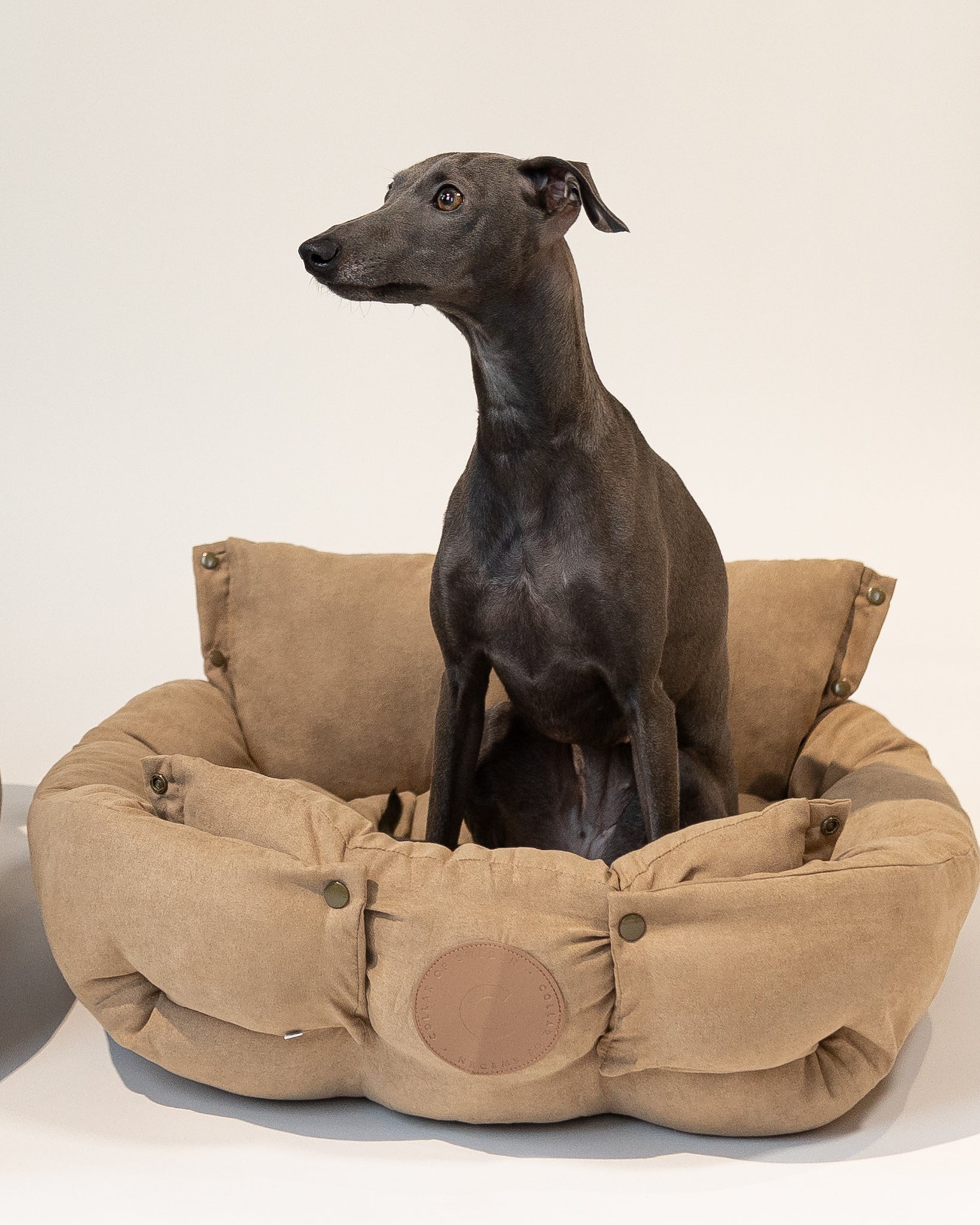 Braunes Hundebett 3in1