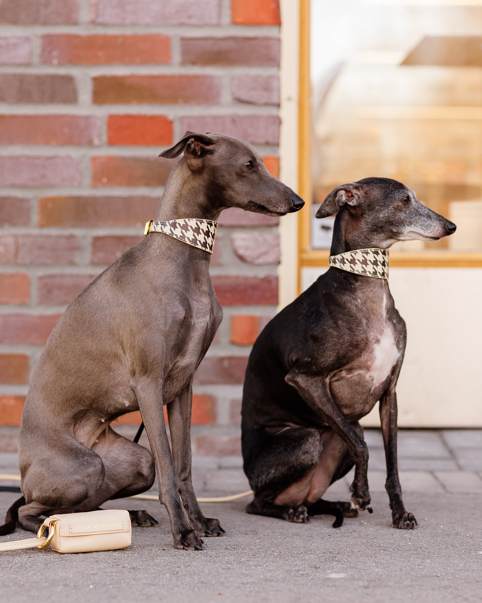 Beiges Hahnentrittmuster Hundehalsband Breit