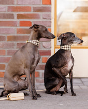 Beiges Hahnentrittmuster Hundehalsband Breit