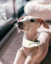 Reflektierendes Silber Hundehalsband Breit