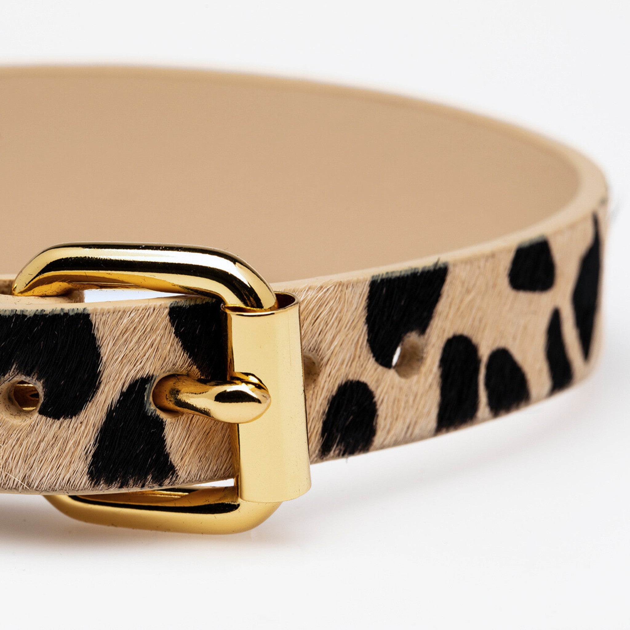 Leoparden Hundehalsband Dünn