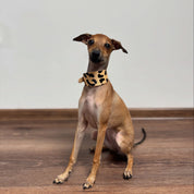 Leoparden Hundehalsband Breit