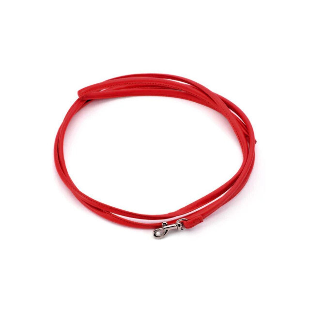 light-red-dog-lead-small.jpg