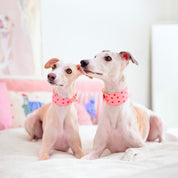 Love Hundehalsband Breit