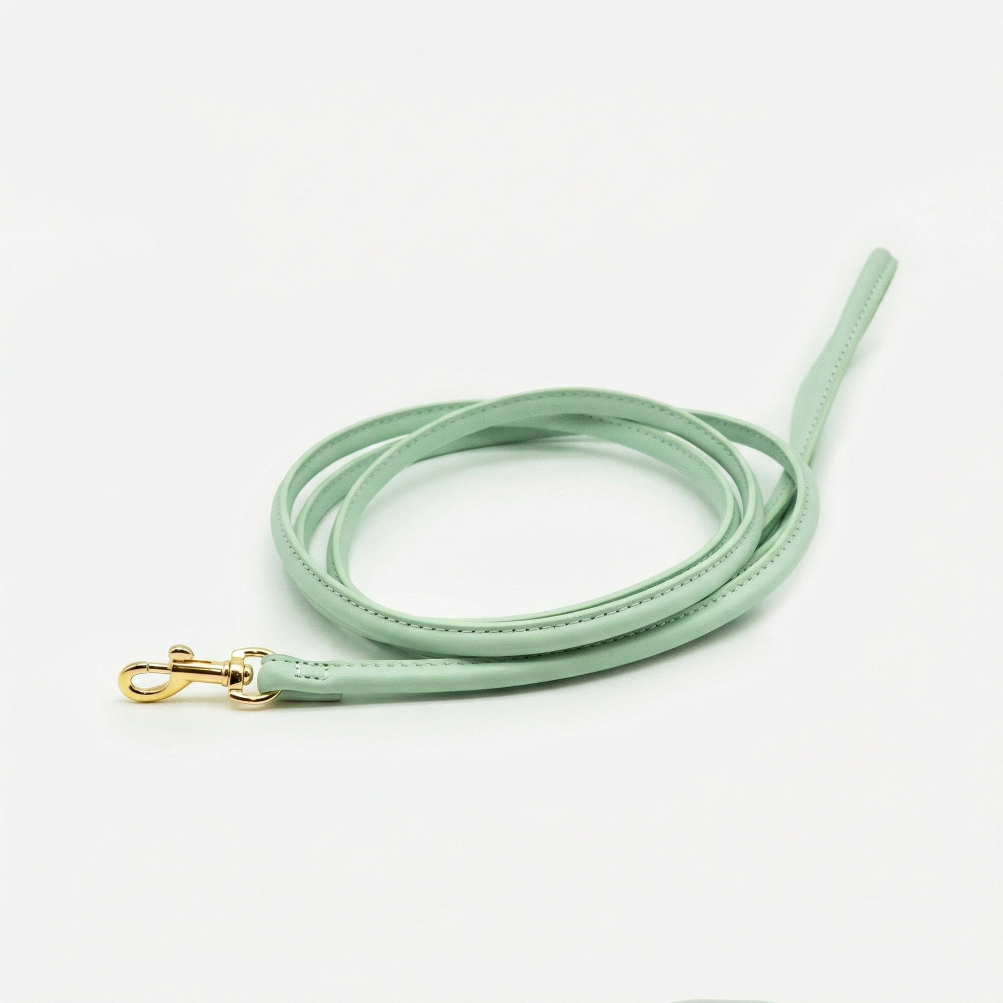 mint-leather-dog-lead-small-gold.jpg