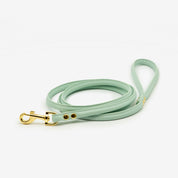 Mint Dog Lead