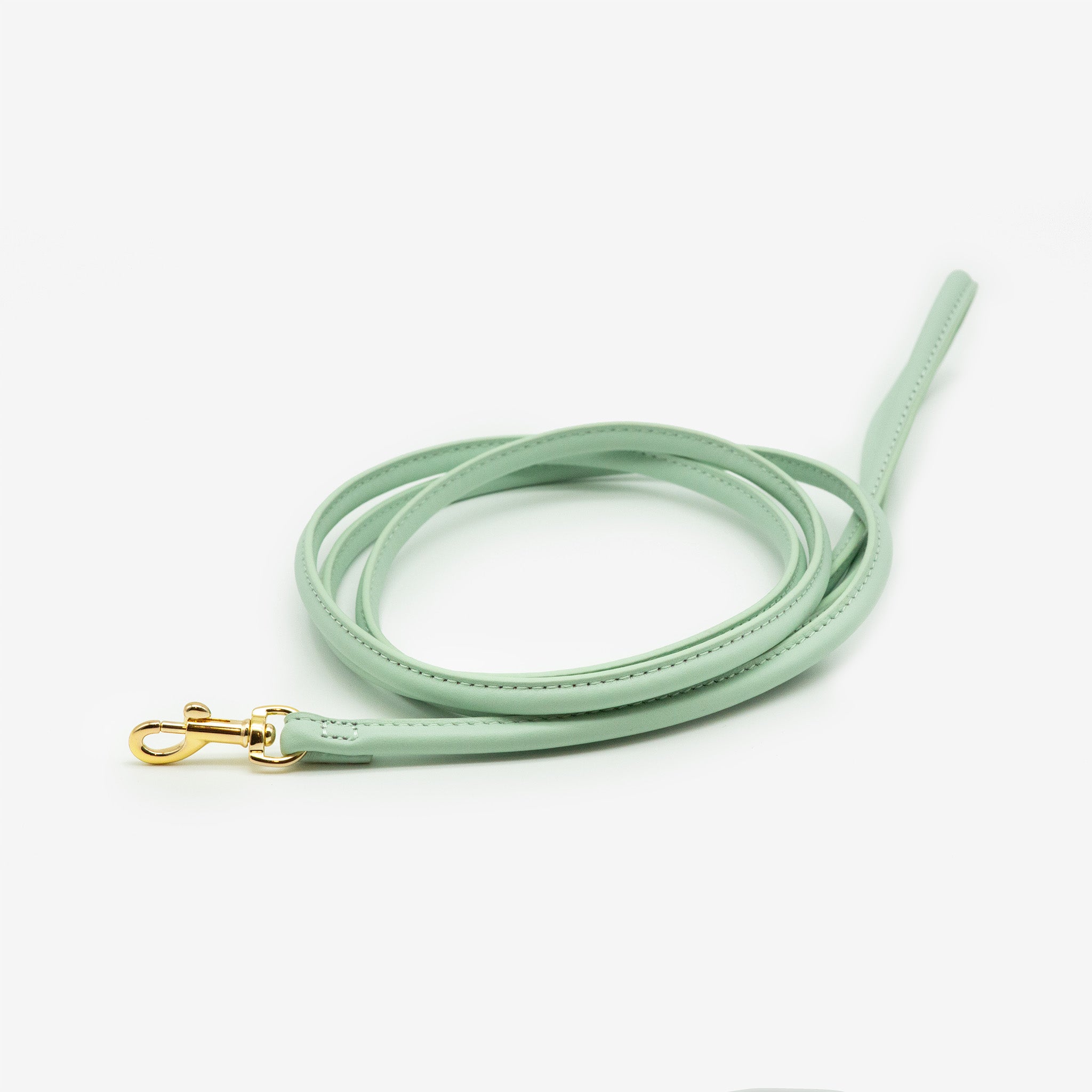 mint-leather-lead-small.jpg
