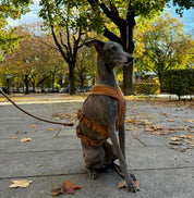 Mocha Brown Y-Harness
