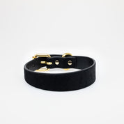 Panther Hundehalsband Dünn
