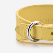 Pastellgelbes Hundehalsband Breit