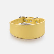 Pastellgelbes Hundehalsband Breit