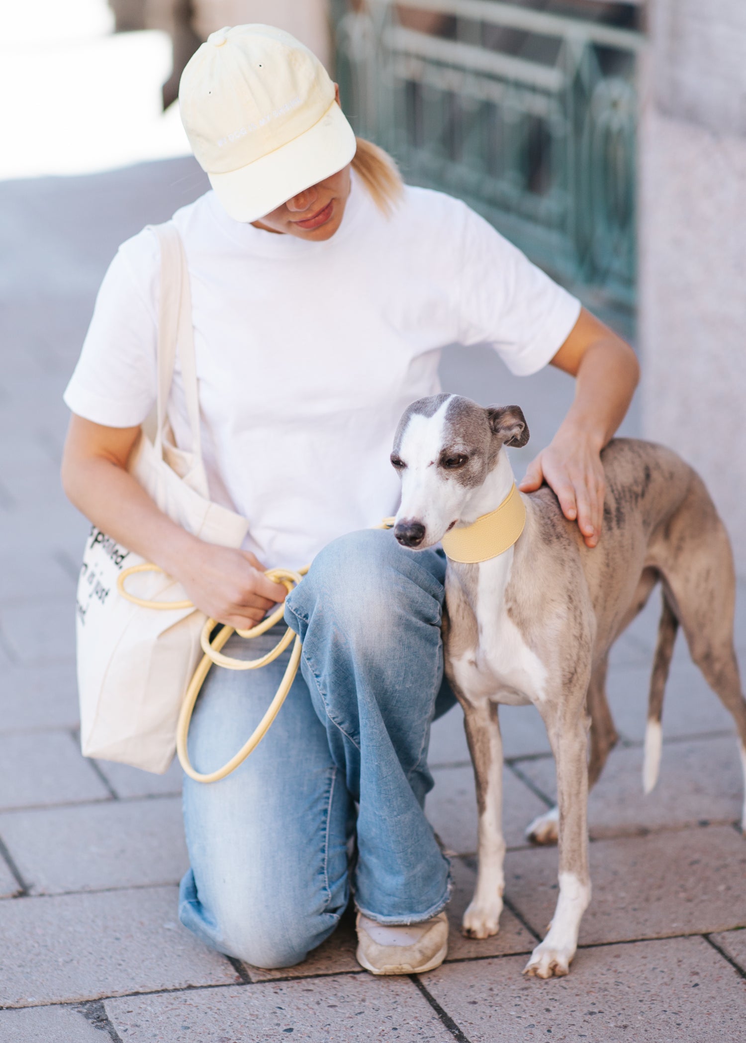 Pastellgelbes Hundehalsband Breit