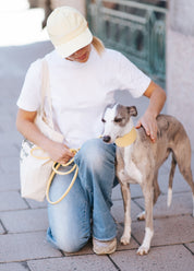 Pastellgelbes Hundehalsband Breit