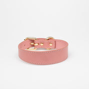 Rosa Hundehalsband Dünn