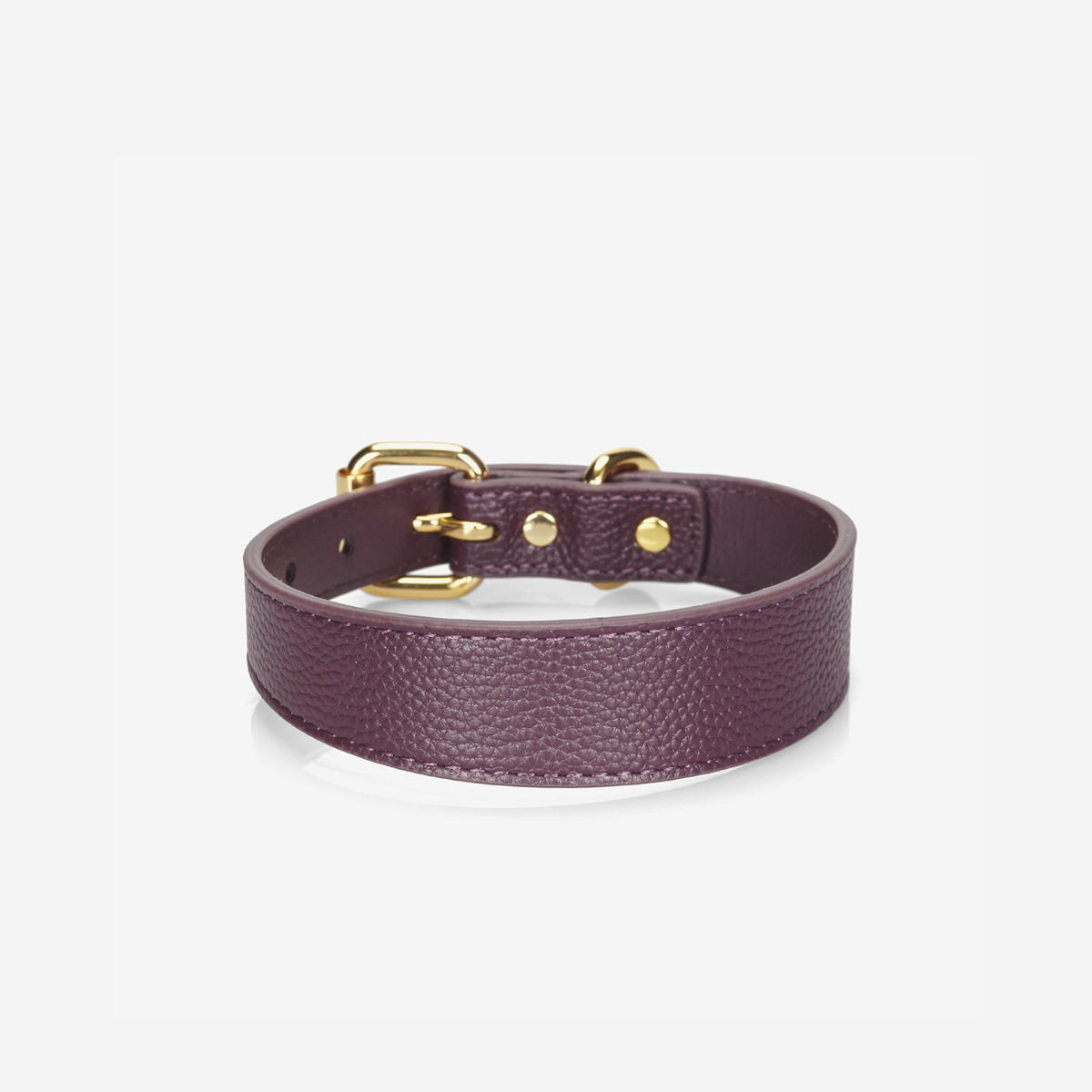 plum-dog-collar-medium-thin.jpg