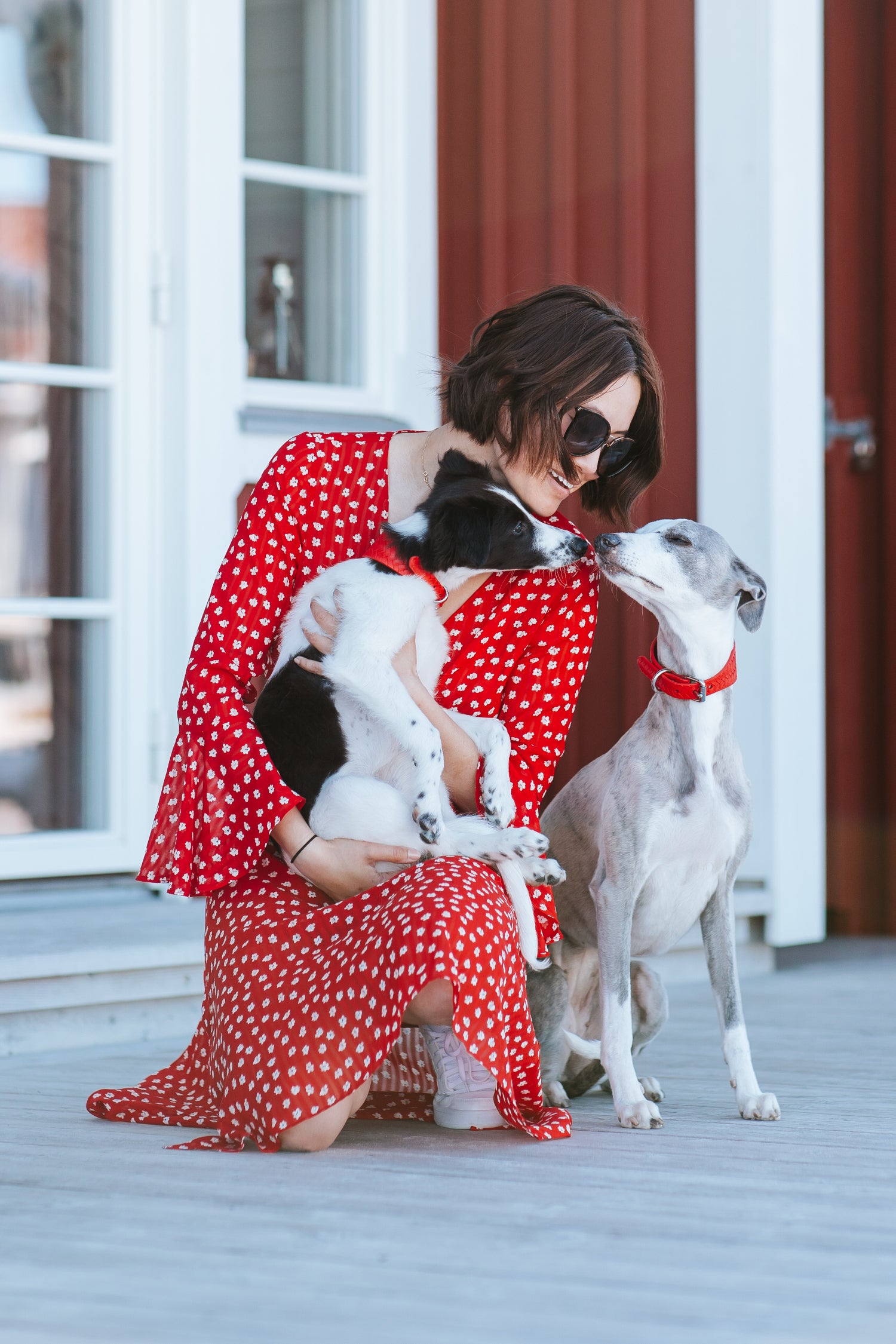 Pure Red Geflochtenes Hundehalsband Breit