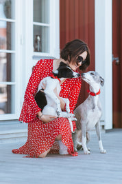 Pure Red Geflochtenes Hundehalsband Breit