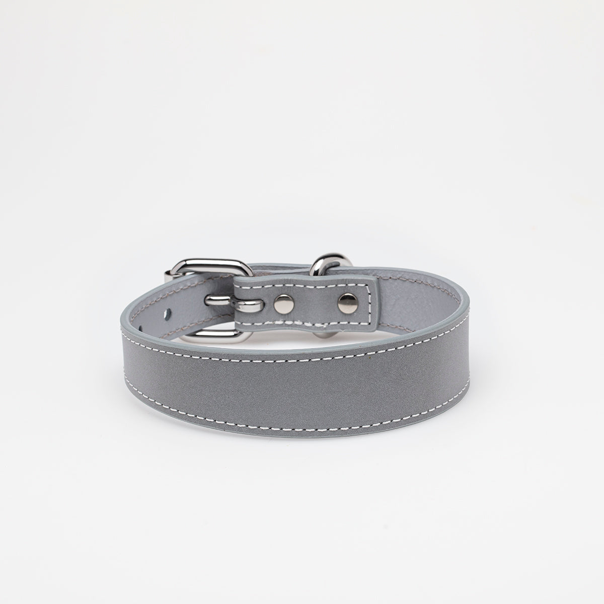 reflex-dog-collar-medium-thin.jpg