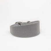 Reflektierendes Silber Hundehalsband Breit